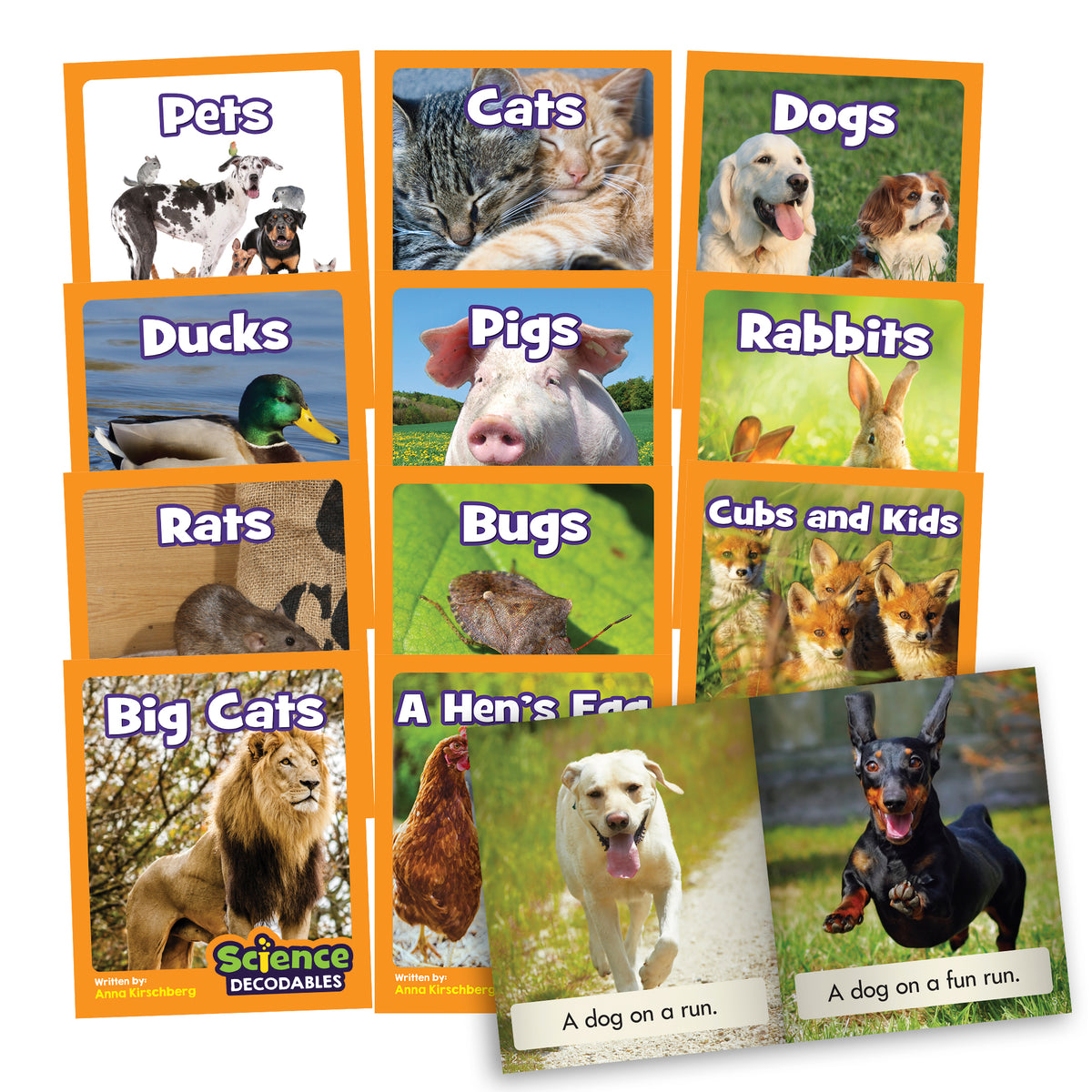 Science Decodables Phase 2 Non-Fiction - 6 Pack