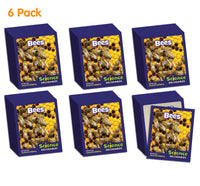 Foundation School Kit