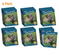 Kindergarten Classroom Kit