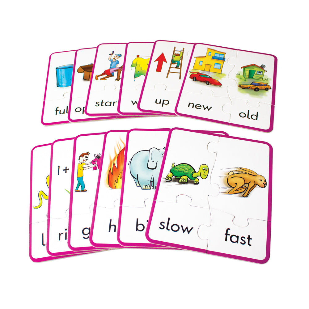 Junior Learning JL242 Antonym Puzzles all cards 
