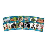 Junior Learning JL386 Letters and Sounds Phase 1 Set 1 Non-Fiction books fanout