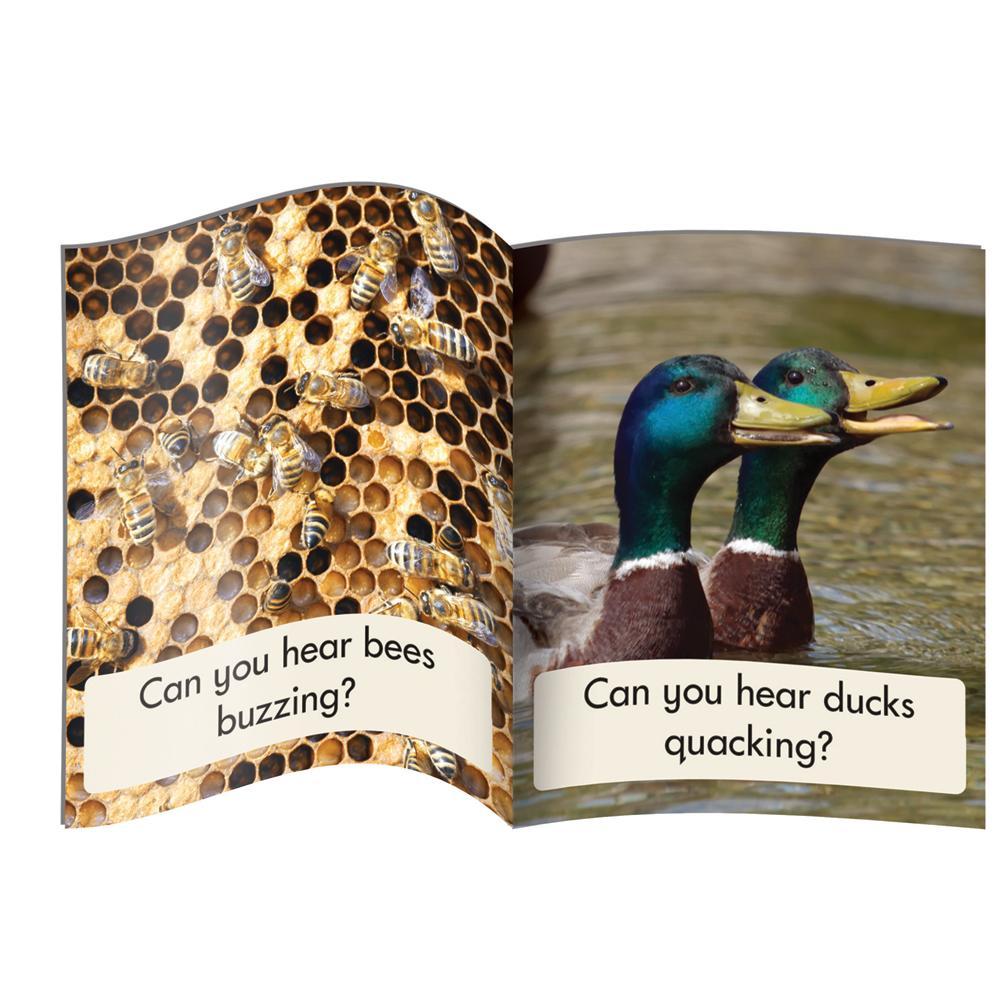 Letters & Sounds Phase 3 Set 1 Non-Fiction – Junior Learning AUS